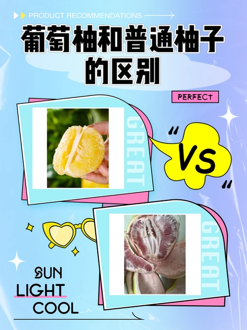 葡萄柚和普通柚子的区别