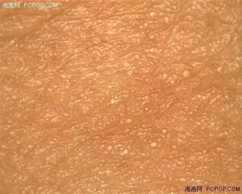 美女皮肤放大60倍 实战usb数码显微镜