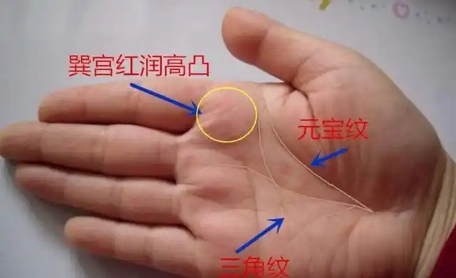 三角纹唯独不宜出现在手掌坎宫会受到刑克而孤寡