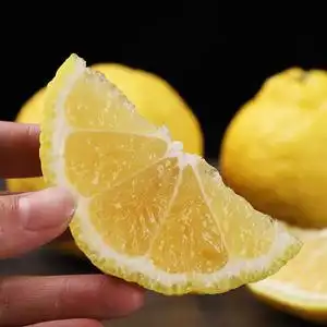 【纯甜无酸】正宗象山青柑橘春香柚10斤黄金贡柚橘子甜桔柚促销装