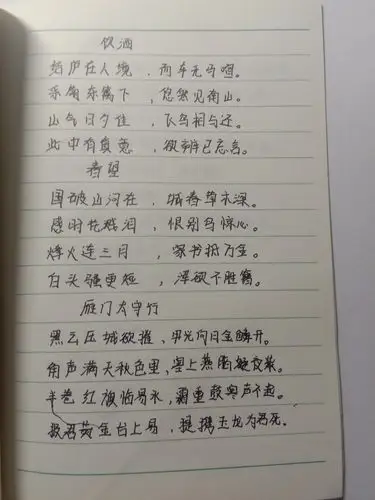 语文课外古诗,古诗,文言文已全部摘抄完毕