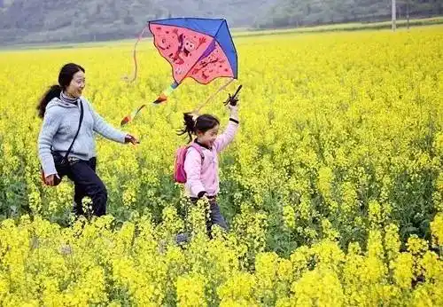 清明踏青出游好时节,投身到美好的春光中!