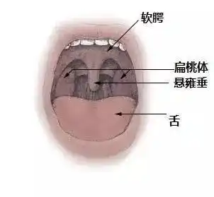 6个月男宝宝吞了一根头发,结果要全麻做手术,医生都震惊了