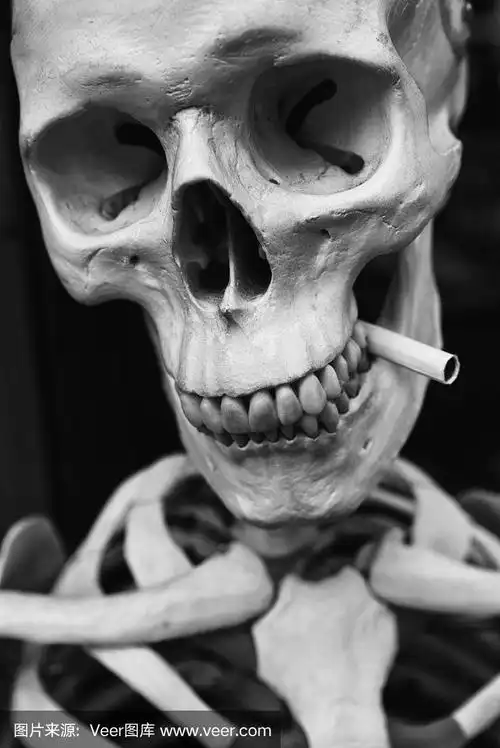 黑与白的骷髅在抽烟
