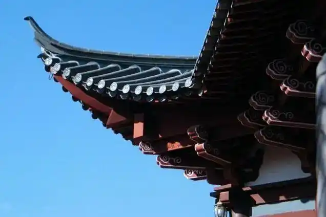 杜牧诗中"廊腰缦回,檐牙高啄"就描写了宫殿群大片挑檐重叠的壮丽景观.