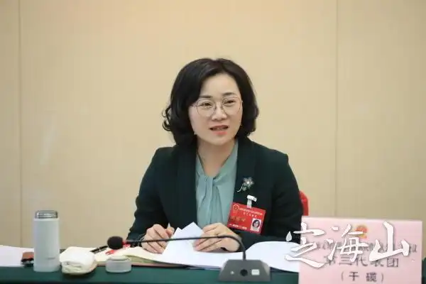 孙丹燕参加干览代表团审议