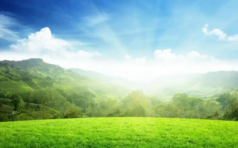 春天晴朗的天气