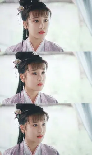 锦衣之下 淳于敏