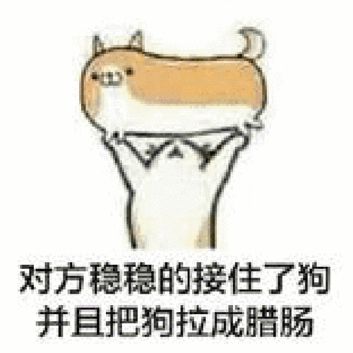 稳稳地接住了狗并且把狗拉成腊肠gif动图_动态图_表情包下载_soogif