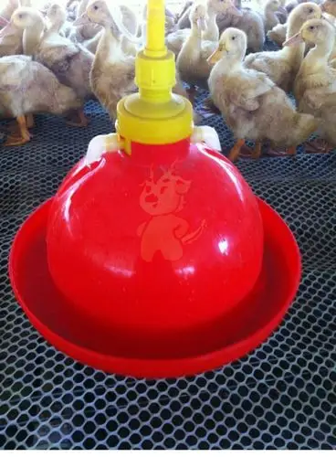 鸡用自动饮水器普拉松广式加厚养殖养鸡鸭鹅鸽子鸠喝水壶畜禽用品