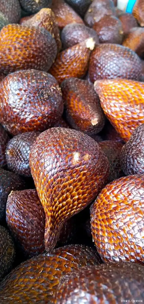 印尼蛇皮果进口报关到全国港口所需单证和流程