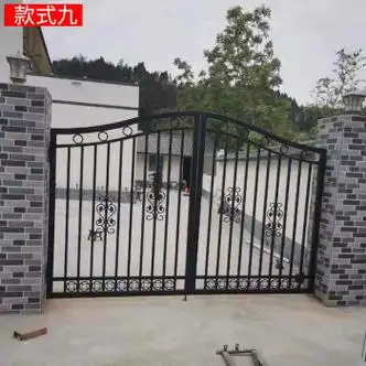 大门庭院门别墅乡农村小区家用院子围墙对开入户双开门大铁门 款式九