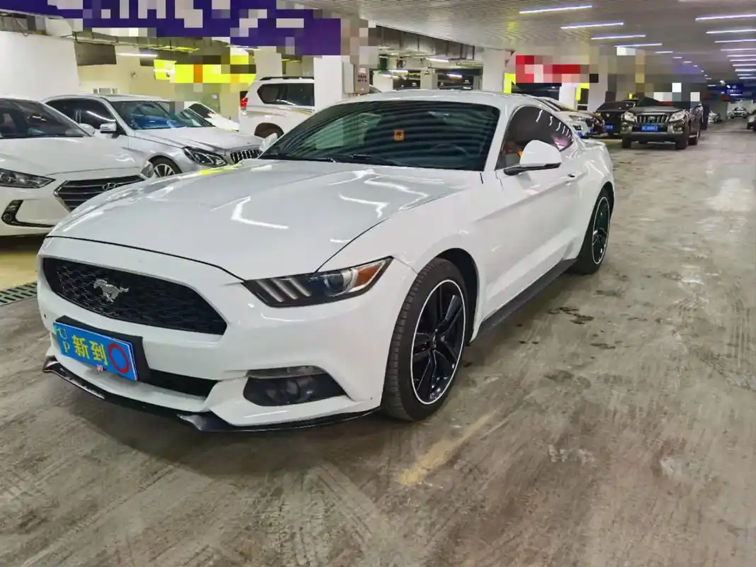 福特野马.秒杀13.98万 2.3t 自动 表显12万多公里 - 抖音