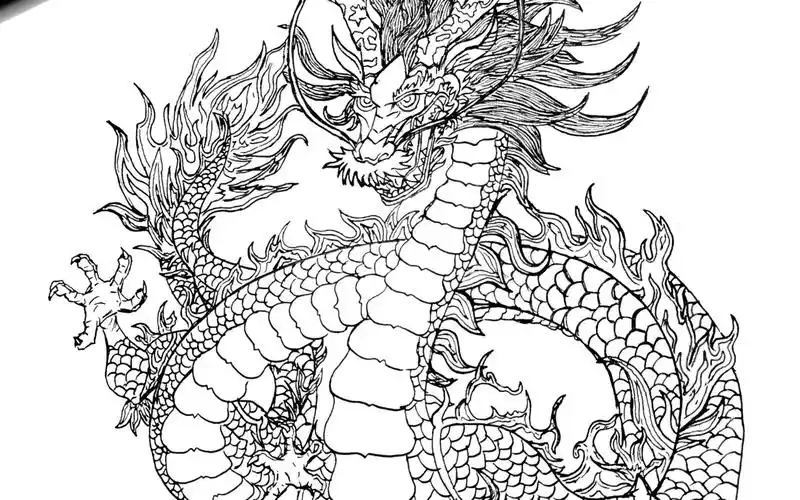 青龙 线描_哔哩哔哩_bilibili