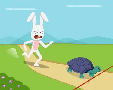 乌龟和兔子图片