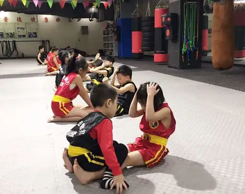 少儿散打2017-02-11少儿散打班: 结合少儿的心理,生理,年龄特点,我们