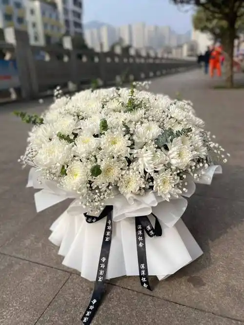 怀念的寓意,因此人们经常会在祭祀扫墓时使用,用洁白的菊花来悼念逝去