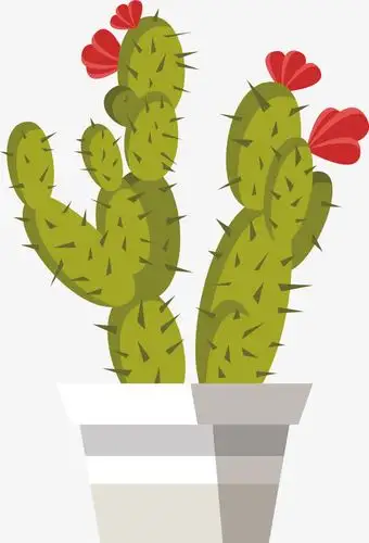 卡通仙人掌png下载