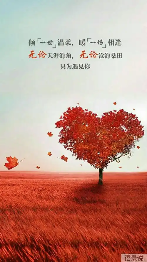 如何感动男人的心(如何感动男人的心的话)