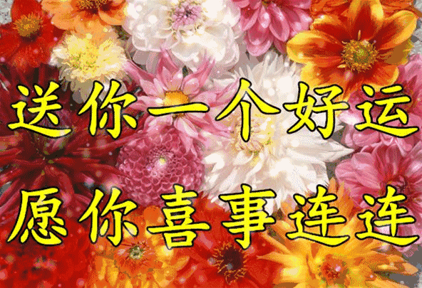 592_405gif 动态图 动图