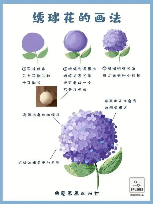 零基础学插画丨超简单的花朵画法绣球花