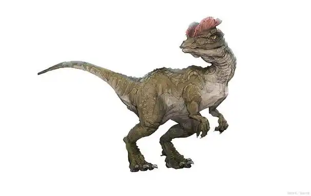 双冠龙让它的竞争者与猎物相形见绌!