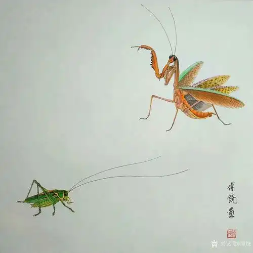 傅饶日志-原创国画动物禅意画小品《螳螂问禅》《蚂蚱悟佛》《螳螂