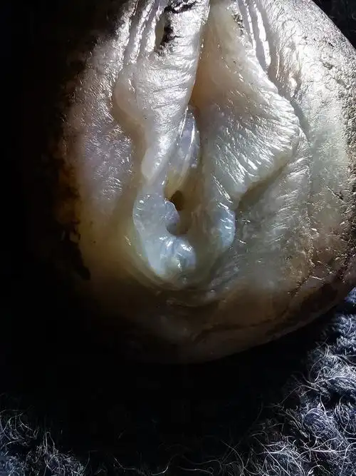 玛瑙生命之源女人花俏色巧雕写实玉雕设计象原玉雕作品