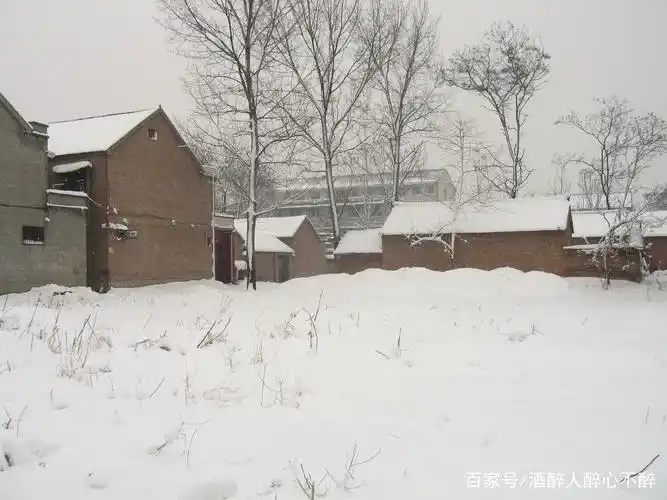 农村雪景,来看看有多美?