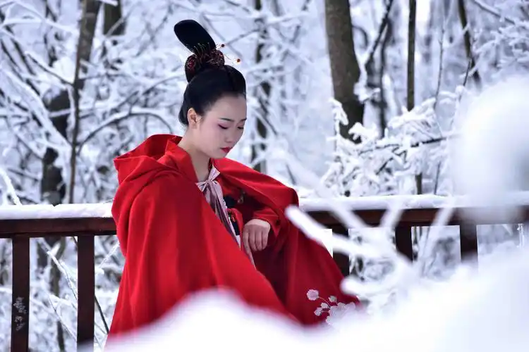 红衣女子雪中飘