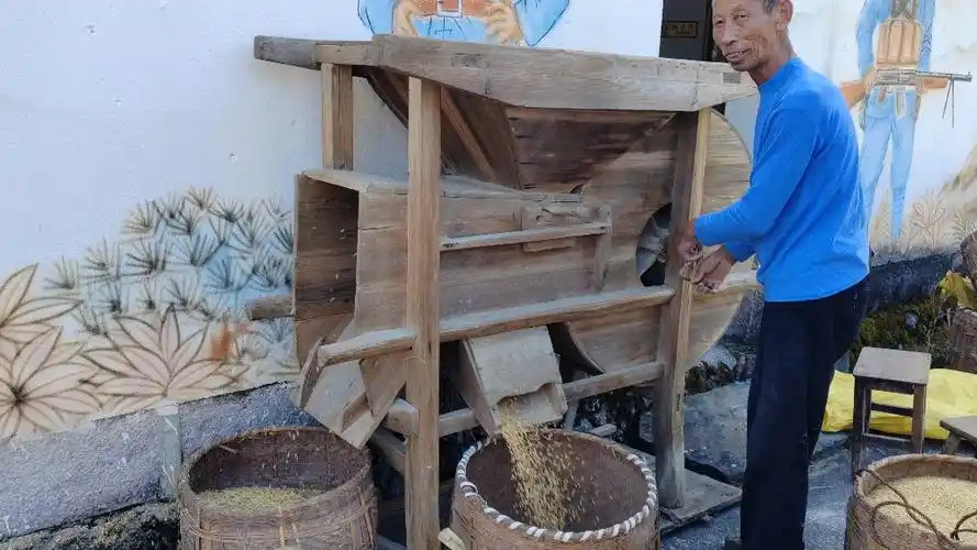 农忙-老式稻谷剥壳机