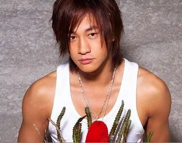 回顾林姵希嫁绯闻不断的何润东相伴15年至今无子她值得吗