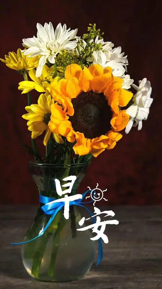 最新早安励志正能量句子早上好图片