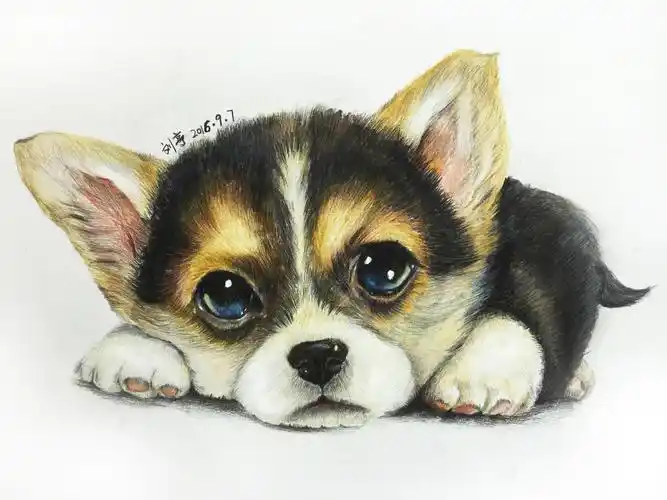 彩铅狗狗