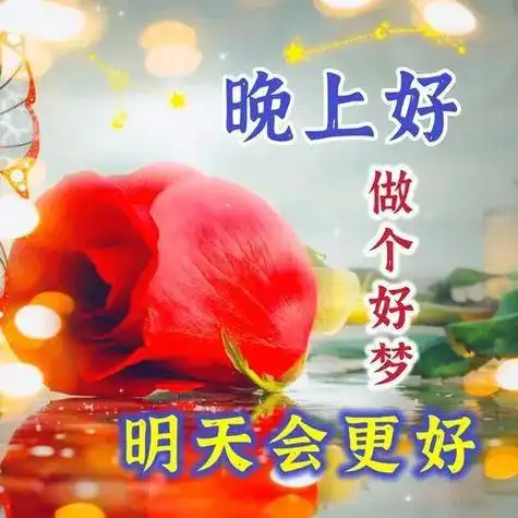 晚上好图片大全晚上好问候晚上好祝福注意防暑降温清凉度伏