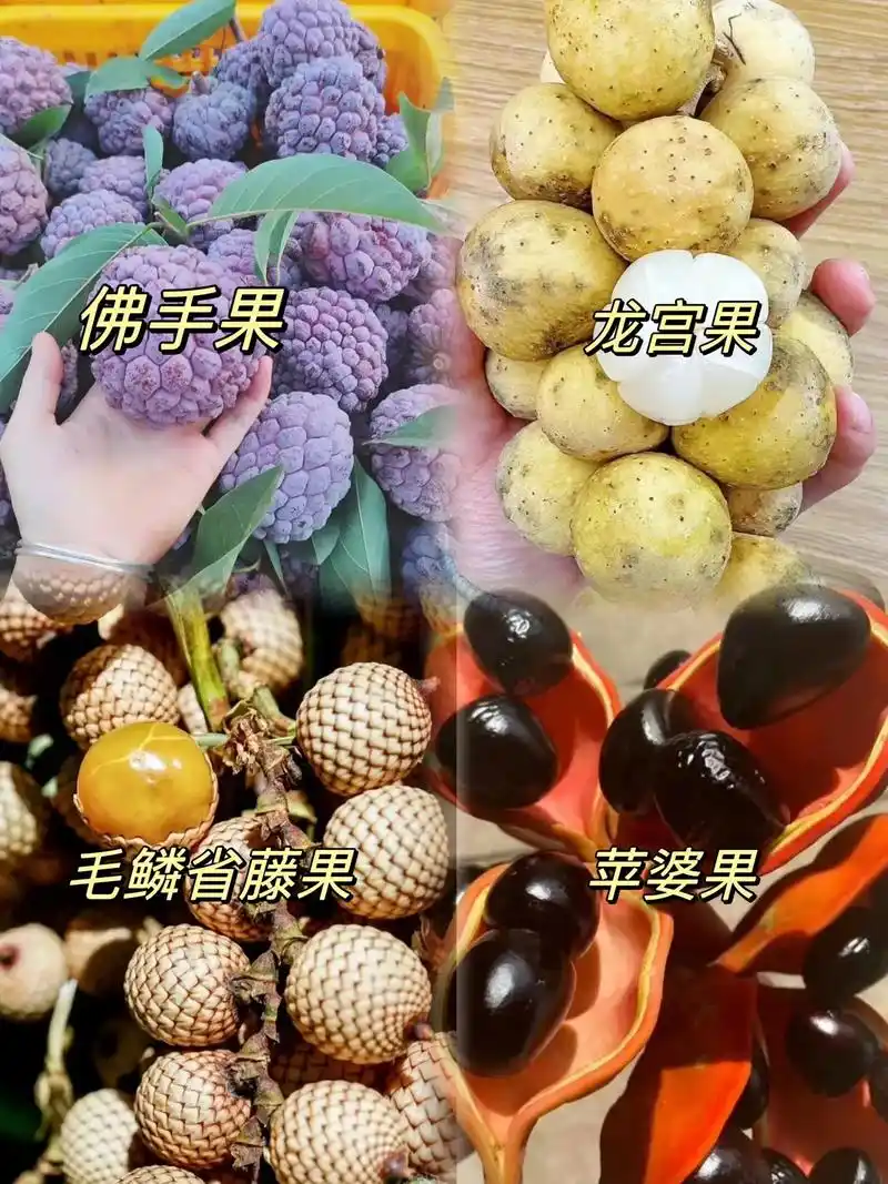 那些你不认识的水果 这些不常见的水果你吃过几样#图文 - 抖音