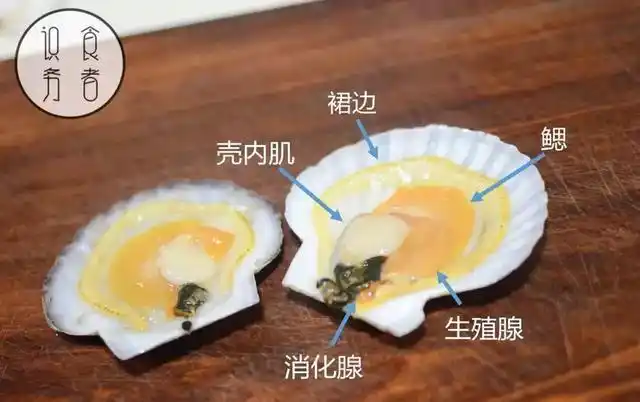 蒜蓉粉丝蒸扇贝如何做出酒店水平