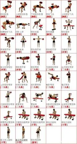 1对哑铃 7个动作 帮你训练全身肌肉