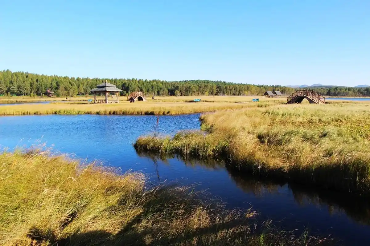七星湖假鼠草湿地公园,位于塞罕坝林场,国家5a级旅游景区.在 - 抖音