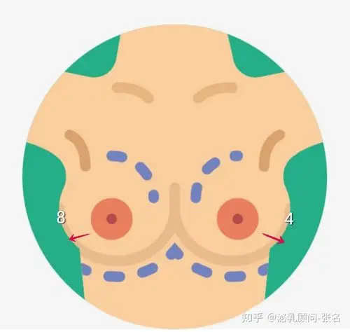 准妈妈您会担心乳房能否正常工作吗