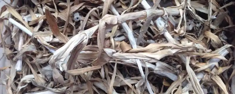 晒干的大蒜杆子有什么用
