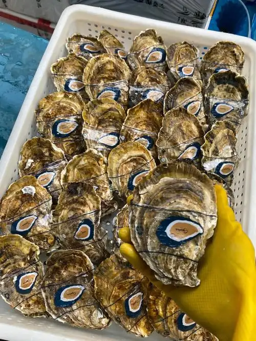 海鲜大全贝类天花板