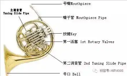 现代圆号是由1650年前后法国的猎人号角发展而来,为了能在一个号上吹