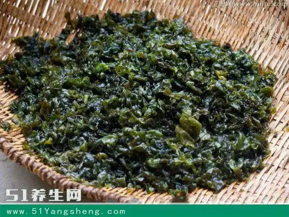 地皮菜是可吃还是不可吃的菜呢?