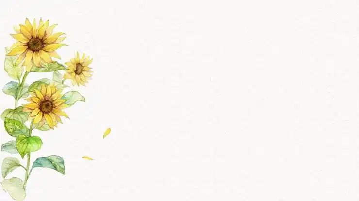 五张清新淡雅水彩向日葵ppt背景图片