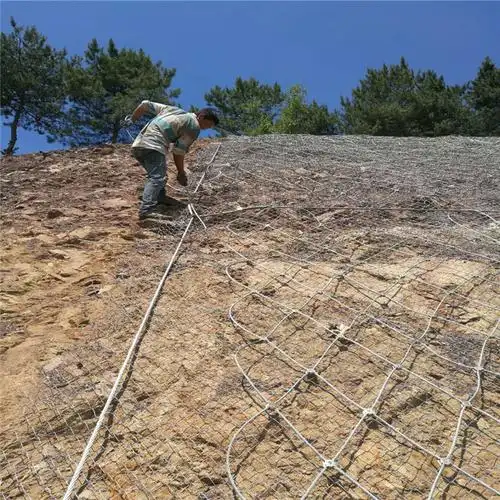 主动边坡防护网用什么样的锚杆