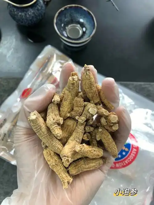 美国西洋参参农协会原装进口西洋参