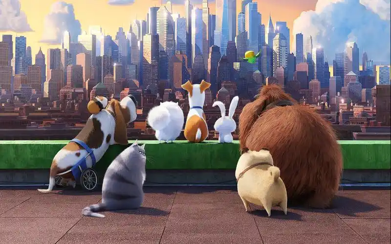 爱宠大机密可爱剧照图片桌面壁纸