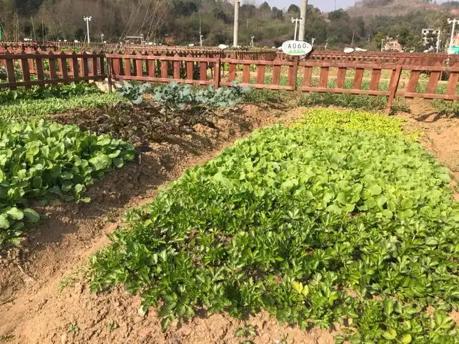 qq农场现实版人人可以当地主啦