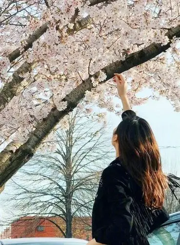 刘雯的背影照学起来,捕捉"专注"地观察花的动势就轻松get网图头像!